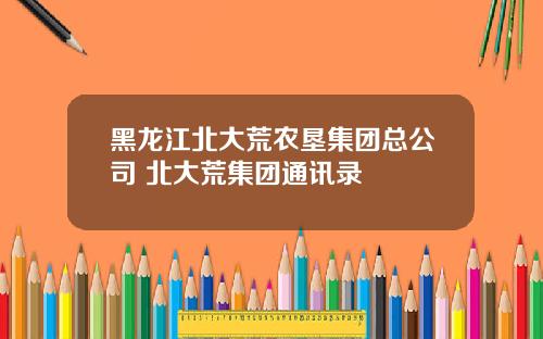 黑龙江北大荒农垦集团总公司 北大荒集团通讯录