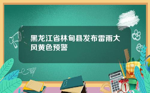 黑龙江省林甸县发布雷雨大风黄色预警