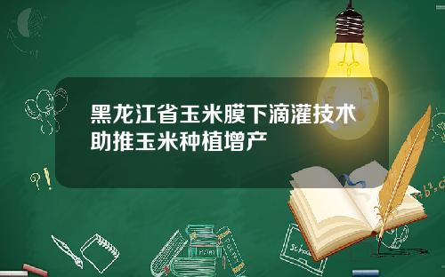 黑龙江省玉米膜下滴灌技术助推玉米种植增产