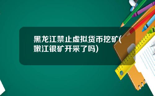 黑龙江禁止虚拟货币挖矿(嫩江银矿开采了吗)