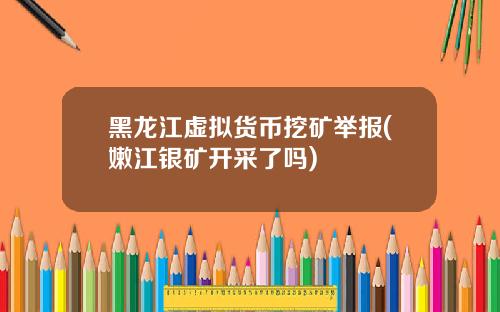 黑龙江虚拟货币挖矿举报(嫩江银矿开采了吗)
