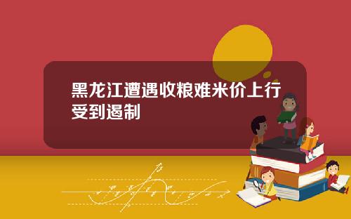 黑龙江遭遇收粮难米价上行受到遏制