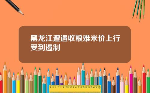 黑龙江遭遇收粮难米价上行受到遏制