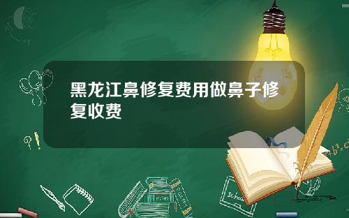 黑龙江鼻修复费用做鼻子修复收费