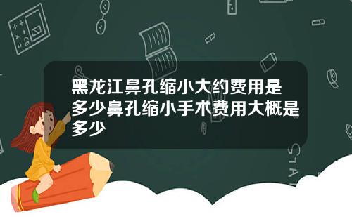 黑龙江鼻孔缩小大约费用是多少鼻孔缩小手术费用大概是多少