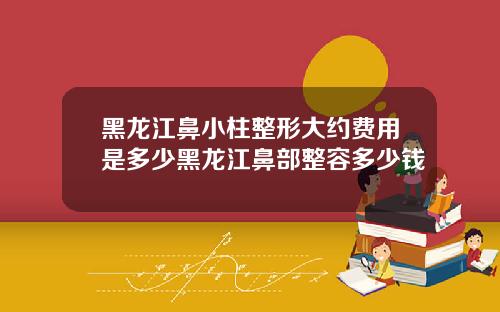 黑龙江鼻小柱整形大约费用是多少黑龙江鼻部整容多少钱