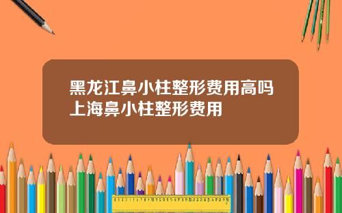 黑龙江鼻小柱整形费用高吗上海鼻小柱整形费用