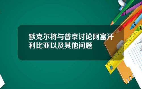 默克尔将与普京讨论阿富汗利比亚以及其他问题