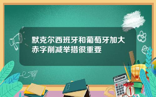 默克尔西班牙和葡萄牙加大赤字削减举措很重要