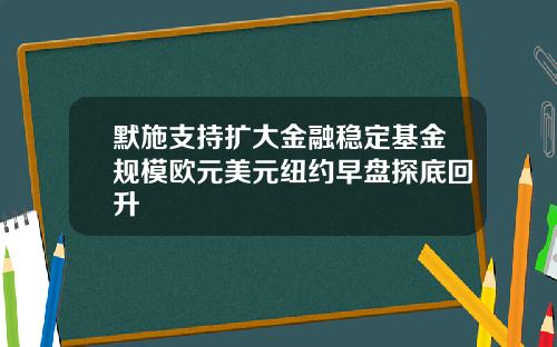 默施支持扩大金融稳定基金规模欧元美元纽约早盘探底回升