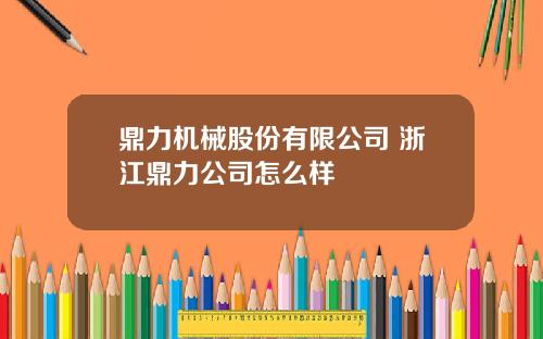 鼎力机械股份有限公司 浙江鼎力公司怎么样