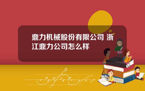 鼎力机械股份有限公司 浙江鼎力公司怎么样