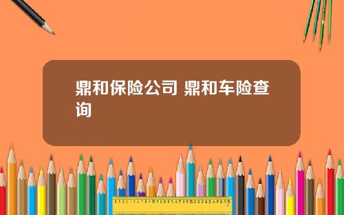 鼎和保险公司 鼎和车险查询