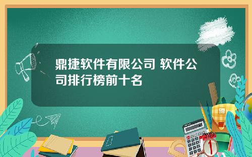 鼎捷软件有限公司 软件公司排行榜前十名