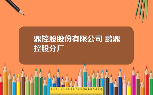 鼎控股股份有限公司 鹏鼎控股分厂