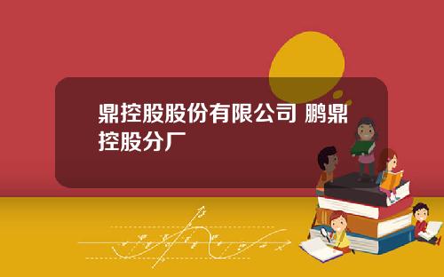鼎控股股份有限公司 鹏鼎控股分厂
