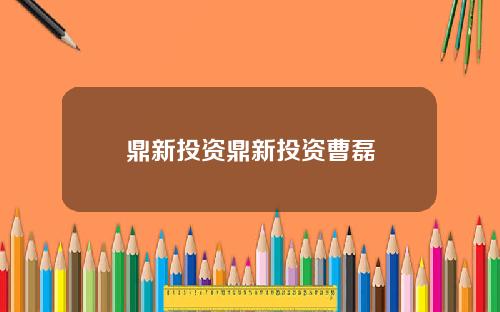 鼎新投资鼎新投资曹磊