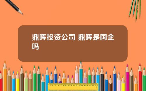 鼎晖投资公司 鼎晖是国企吗