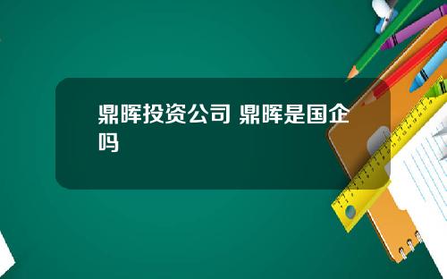 鼎晖投资公司 鼎晖是国企吗