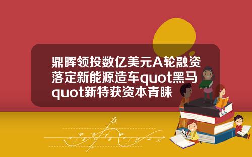 鼎晖领投数亿美元A轮融资落定新能源造车quot黑马quot新特获资本青睐