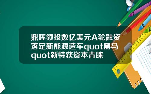 鼎晖领投数亿美元A轮融资落定新能源造车quot黑马quot新特获资本青睐