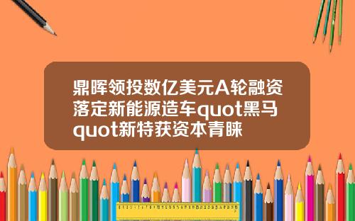 鼎晖领投数亿美元A轮融资落定新能源造车quot黑马quot新特获资本青睐