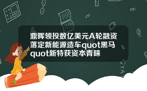鼎晖领投数亿美元A轮融资落定新能源造车quot黑马quot新特获资本青睐