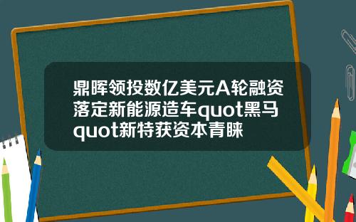鼎晖领投数亿美元A轮融资落定新能源造车quot黑马quot新特获资本青睐