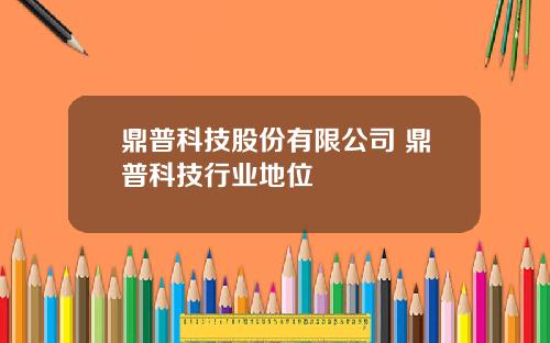 鼎普科技股份有限公司 鼎普科技行业地位