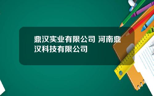 鼎汉实业有限公司 河南鼎汉科技有限公司