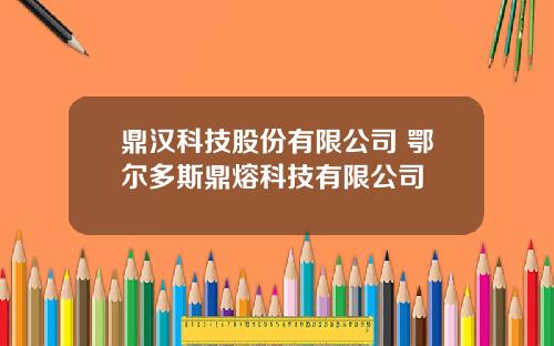 鼎汉科技股份有限公司 鄂尔多斯鼎熔科技有限公司