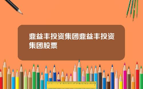 鼎益丰投资集团鼎益丰投资集团股票