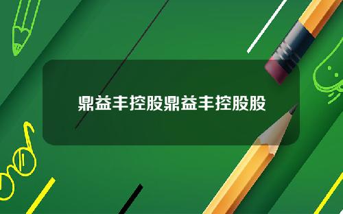 鼎益丰控股鼎益丰控股股