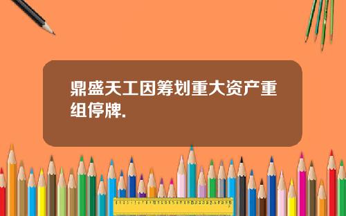 鼎盛天工因筹划重大资产重组停牌.