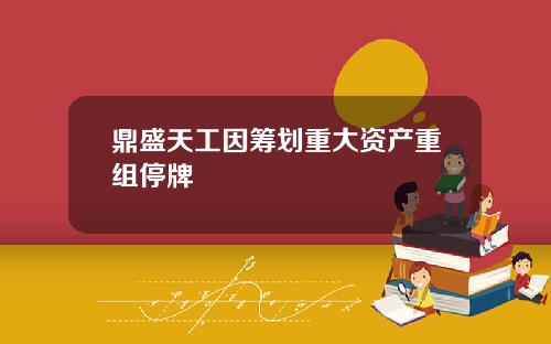 鼎盛天工因筹划重大资产重组停牌