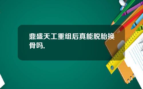 鼎盛天工重组后真能脱胎换骨吗.