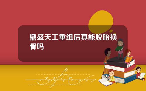 鼎盛天工重组后真能脱胎换骨吗