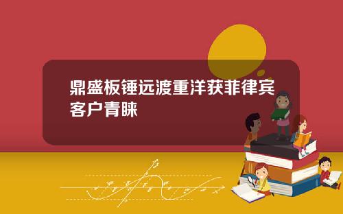 鼎盛板锤远渡重洋获菲律宾客户青睐