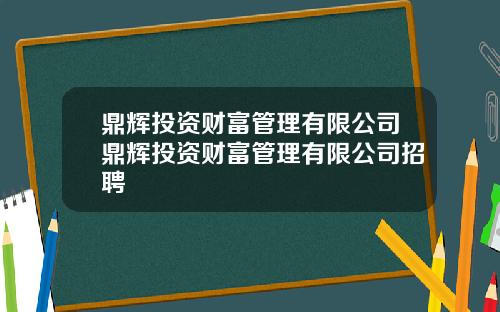 鼎辉投资财富管理有限公司鼎辉投资财富管理有限公司招聘