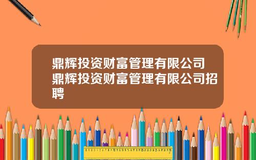 鼎辉投资财富管理有限公司鼎辉投资财富管理有限公司招聘