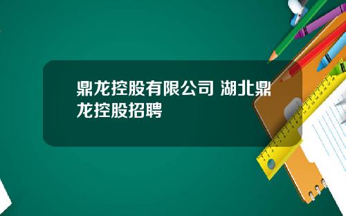 鼎龙控股有限公司 湖北鼎龙控股招聘