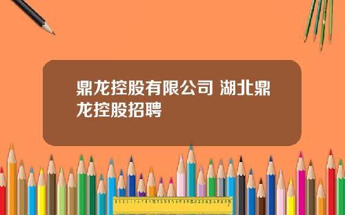 鼎龙控股有限公司 湖北鼎龙控股招聘