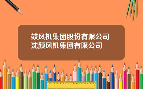 鼓风机集团股份有限公司 沈颜风机集团有限公司