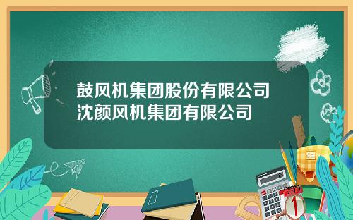 鼓风机集团股份有限公司 沈颜风机集团有限公司
