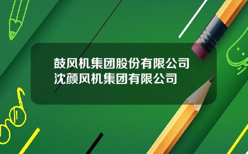 鼓风机集团股份有限公司 沈颜风机集团有限公司