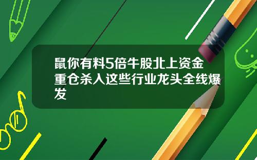 鼠你有料5倍牛股北上资金重仓杀入这些行业龙头全线爆发