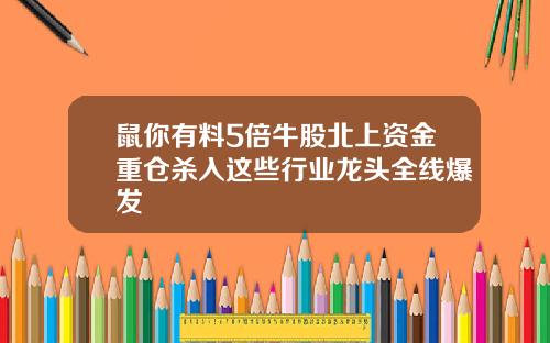 鼠你有料5倍牛股北上资金重仓杀入这些行业龙头全线爆发