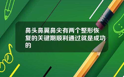 鼻头鼻翼鼻尖有两个整形恢复的关键期顺利通过就是成功的