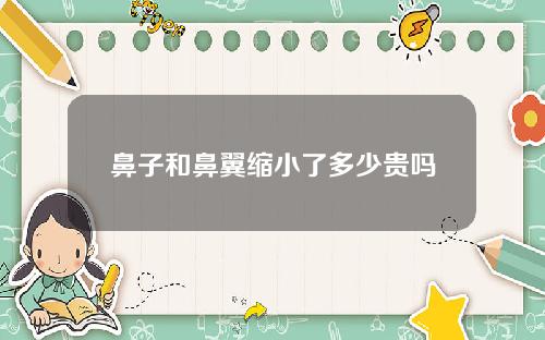 鼻子和鼻翼缩小了多少贵吗