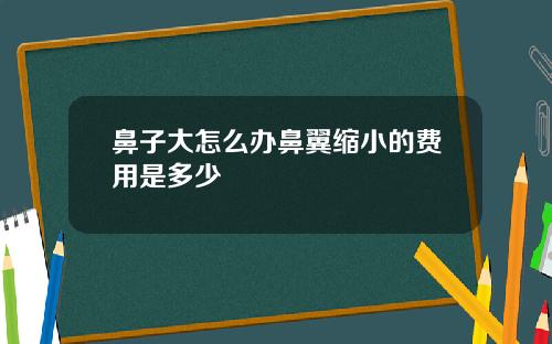 鼻子大怎么办鼻翼缩小的费用是多少